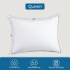 imageSasttie Pillows Queen Size Set of 2 Bed Pillows for Side Back and Stomach Sleepers  OekoTex Certified Down Alternative Plump Filling  Hotel Quality and Machine Washable 2 Pack2