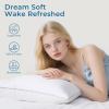 imageSasttie Pillows Queen Size Set of 2 Bed Pillows for Side Back and Stomach Sleepers  OekoTex Certified Down Alternative Plump Filling  Hotel Quality and Machine Washable 2 Pack2