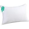 imageSasttie Pillows Queen Size Set of 2 Bed Pillows for Side Back and Stomach Sleepers  OekoTex Certified Down Alternative Plump Filling  Hotel Quality and Machine Washable 2 Pack1