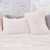 imageSasttie 3Piece Fluffy Duvet Cover Queen Ultra Soft Faux Fur and Velvet Beige Comforter Cover Luxury Fuzzy Bedding Sets for Winter Bed Includes 1 Duvet Cover and 2 Pillowcases No ComforterCream