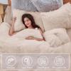 imageSasttie 3Piece Fluffy Duvet Cover Queen Ultra Soft Faux Fur and Velvet Beige Comforter Cover Luxury Fuzzy Bedding Sets for Winter Bed Includes 1 Duvet Cover and 2 Pillowcases No ComforterBeige