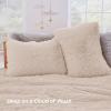 imageSasttie 3Piece Fluffy Duvet Cover Queen Ultra Soft Faux Fur and Velvet Beige Comforter Cover Luxury Fuzzy Bedding Sets for Winter Bed Includes 1 Duvet Cover and 2 Pillowcases No ComforterBeige