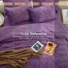 imageSasttie Queen Comforter Set 7Piece Bed in a Bag Pintuck Bedding Sets for All Season Includes Comforter Flat Sheet Fitted Sheet Pillowcases and Pillowshams Sage GreenGrape Purple