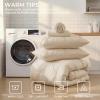 imageSasttie Queen Comforter Set 7Piece Bed in a Bag Pintuck Bedding Sets for All Season Includes Comforter Flat Sheet Fitted Sheet Pillowcases and Pillowshams Sage GreenWarm Beige