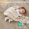 image:imageSasttie Queen Comforter Set 7Piece PreWashed Crinkled Texture Bed in a Bag Queen with Ultra Soft Brushed Sheets Aesthetic Fluffy Bedding Set for All Seasons LinenLinen