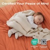 image:imageSasttie Queen Comforter Set 7Piece PreWashed Crinkled Texture Bed in a Bag Queen with Ultra Soft Brushed Sheets Aesthetic Fluffy Bedding Set for All Seasons LinenBurnt Orange
