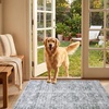 image:imageSasttie 8x10 Area Rugs UltraSoft Washable Rug Low Pile Foldable Thin Carpets with NonSlip Backing SkinFriendly Stain Resistant Carpet for Living Room Bedroom Kitchen Dorm 8x10 BeigeLight Grey