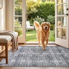 image:imageSasttie 8x10 Area Rugs UltraSoft Washable Rug Low Pile Foldable Thin Carpets with NonSlip Backing SkinFriendly Stain Resistant Carpet for Living Room Bedroom Kitchen Dorm 8x10 BeigeBlack Grey