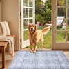 image:imageSasttie 8x10 Area Rugs UltraSoft Washable Rug Low Pile Foldable Thin Carpets with NonSlip Backing SkinFriendly Stain Resistant Carpet for Living Room Bedroom Kitchen Dorm 8x10 BeigeLight Blue