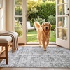 image:imageSasttie 8x10 Area Rugs UltraSoft Washable Rug Low Pile Foldable Thin Carpets with NonSlip Backing SkinFriendly Stain Resistant Carpet for Living Room Bedroom Kitchen Dorm 8x10 BeigeLight Grey