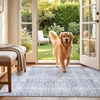 image:imageSasttie 8x10 Area Rugs UltraSoft Washable Rug Low Pile Foldable Thin Carpets with NonSlip Backing SkinFriendly Stain Resistant Carpet for Living Room Bedroom Kitchen Dorm 8x10 BeigeLight Blue