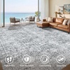 image:imageSasttie 8x10 Area Rugs UltraSoft Washable Rug Low Pile Foldable Thin Carpets with NonSlip Backing SkinFriendly Stain Resistant Carpet for Living Room Bedroom Kitchen Dorm 8x10 BeigeLight Grey