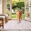 image:imageSasttie 8x10 Area Rugs UltraSoft Washable Rug Low Pile Foldable Thin Carpets with NonSlip Backing SkinFriendly Stain Resistant Carpet for Living Room Bedroom Kitchen Dorm 8x10 BeigePink