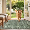 image:imageSasttie 8x10 Area Rugs UltraSoft Washable Rug Low Pile Foldable Thin Carpets with NonSlip Backing SkinFriendly Stain Resistant Carpet for Living Room Bedroom Kitchen Dorm 8x10 BeigeDark Green
