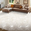image:imageSasttie 8x10 Area Rugs UltraSoft Washable Rug Low Pile Foldable Thin Carpets with NonSlip Backing SkinFriendly Stain Resistant Carpet for Living Room Bedroom Kitchen Dorm 8x10 BeigeCream