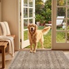 image:imageSasttie 8x10 Area Rugs UltraSoft Washable Rug Low Pile Foldable Thin Carpets with NonSlip Backing SkinFriendly Stain Resistant Carpet for Living Room Bedroom Kitchen Dorm 8x10 BeigeDark Brown