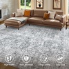 image:imageSasttie 8x10 Area Rugs UltraSoft Washable Rug Low Pile Foldable Thin Carpets with NonSlip Backing SkinFriendly Stain Resistant Carpet for Living Room Bedroom Kitchen Dorm 8x10 BeigeLight Grey