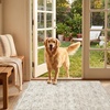 image:imageSasttie 8x10 Area Rugs UltraSoft Washable Rug Low Pile Foldable Thin Carpets with NonSlip Backing SkinFriendly Stain Resistant Carpet for Living Room Bedroom Kitchen Dorm 8x10 BeigeBeige