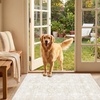 image:imageSasttie 8x10 Area Rugs UltraSoft Washable Rug Low Pile Foldable Thin Carpets with NonSlip Backing SkinFriendly Stain Resistant Carpet for Living Room Bedroom Kitchen Dorm 8x10 BeigeCream