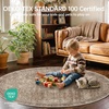 image:imageSasttie 8x10 Area Rugs UltraSoft Washable Rug Low Pile Foldable Thin Carpets with NonSlip Backing SkinFriendly Stain Resistant Carpet for Living Room Bedroom Kitchen Dorm 8x10 BeigeDark Brown