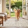 image:imageSasttie 8x10 Area Rugs UltraSoft Washable Rug Low Pile Foldable Thin Carpets with NonSlip Backing SkinFriendly Stain Resistant Carpet for Living Room Bedroom Kitchen Dorm 8x10 BeigeBeige