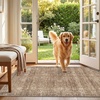 image:imageSasttie 8x10 Area Rugs UltraSoft Washable Rug Low Pile Foldable Thin Carpets with NonSlip Backing SkinFriendly Stain Resistant Carpet for Living Room Bedroom Kitchen Dorm 8x10 BeigeDark Brown