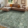 image:imageSasttie 8x10 Area Rugs UltraSoft Washable Rug Low Pile Foldable Thin Carpets with NonSlip Backing SkinFriendly Stain Resistant Carpet for Living Room Bedroom Kitchen Dorm 8x10 BeigeDark Green