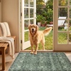 image:imageSasttie 8x10 Area Rugs UltraSoft Washable Rug Low Pile Foldable Thin Carpets with NonSlip Backing SkinFriendly Stain Resistant Carpet for Living Room Bedroom Kitchen Dorm 8x10 BeigeDark Green