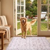image:imageSasttie 8x10 Area Rugs UltraSoft Washable Rug Low Pile Foldable Thin Carpets with NonSlip Backing SkinFriendly Stain Resistant Carpet for Living Room Bedroom Kitchen Dorm 8x10 BeigePink
