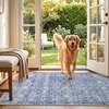 image:imageSasttie 8x10 Area Rugs UltraSoft Washable Rug Low Pile Foldable Thin Carpets with NonSlip Backing SkinFriendly Stain Resistant Carpet for Living Room Bedroom Kitchen Dorm 8x10 BeigeBlue